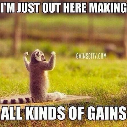 03cae28de3c973e5d4d88e75f2bdf123--humor-gym-crossfit-humor