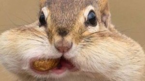 tumblr_static_tumblr_static__640