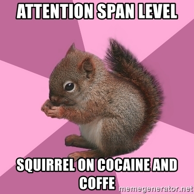 attention-span-level-squirrel-on-cocaine-and-coffe